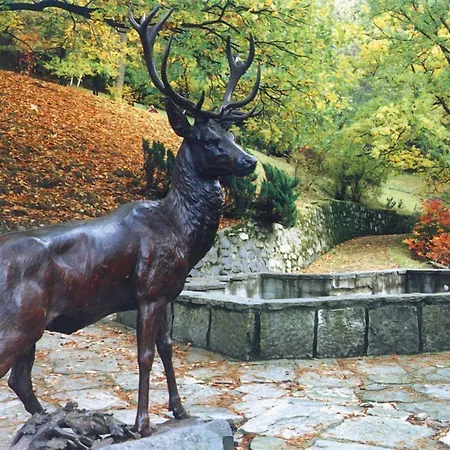Parkhotel Richmond Κάρλοβι Βάρι